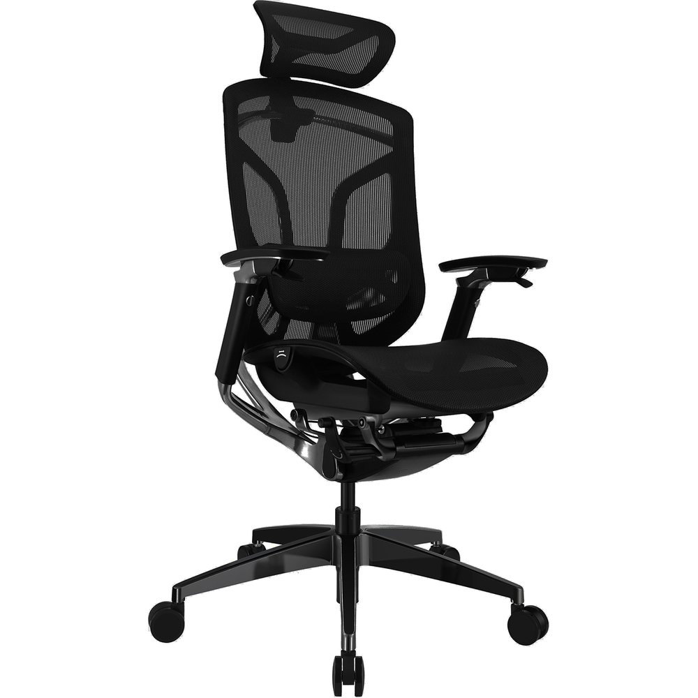 Компьютерное кресло GT Chair Dvary X Pro, чёрный (GTC-Dvary-X-PRO-BK)