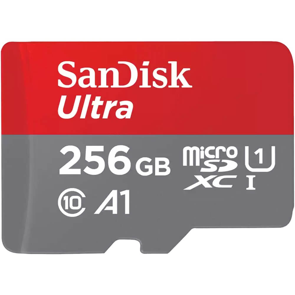Карта памяти SanDisk MicroSDXC 256GB (SDSQUAB-256G-GN6MN) MicroSDXC 256GB (SDSQUAB-256G-GN6MN) - фото 1