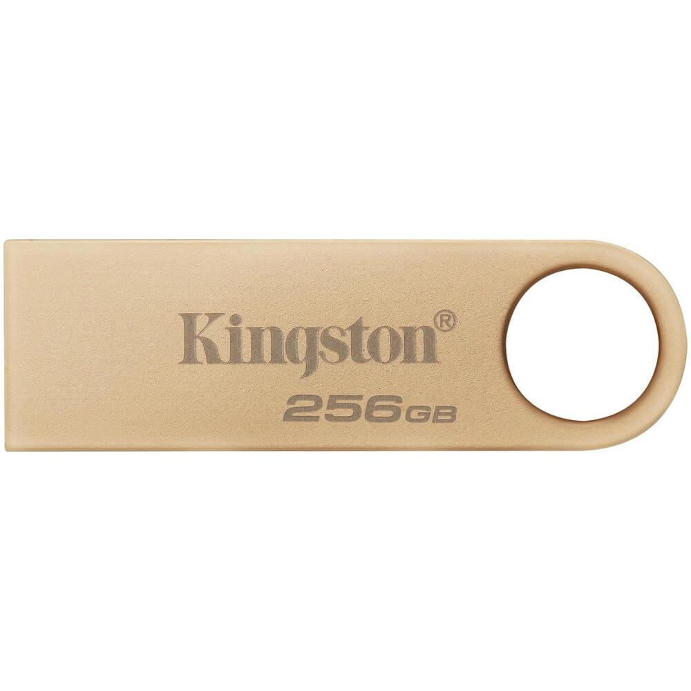 USB Flash drive Kingston DataTraveler SE9 G3 256 ГБ (DTSE9G3/256GB)