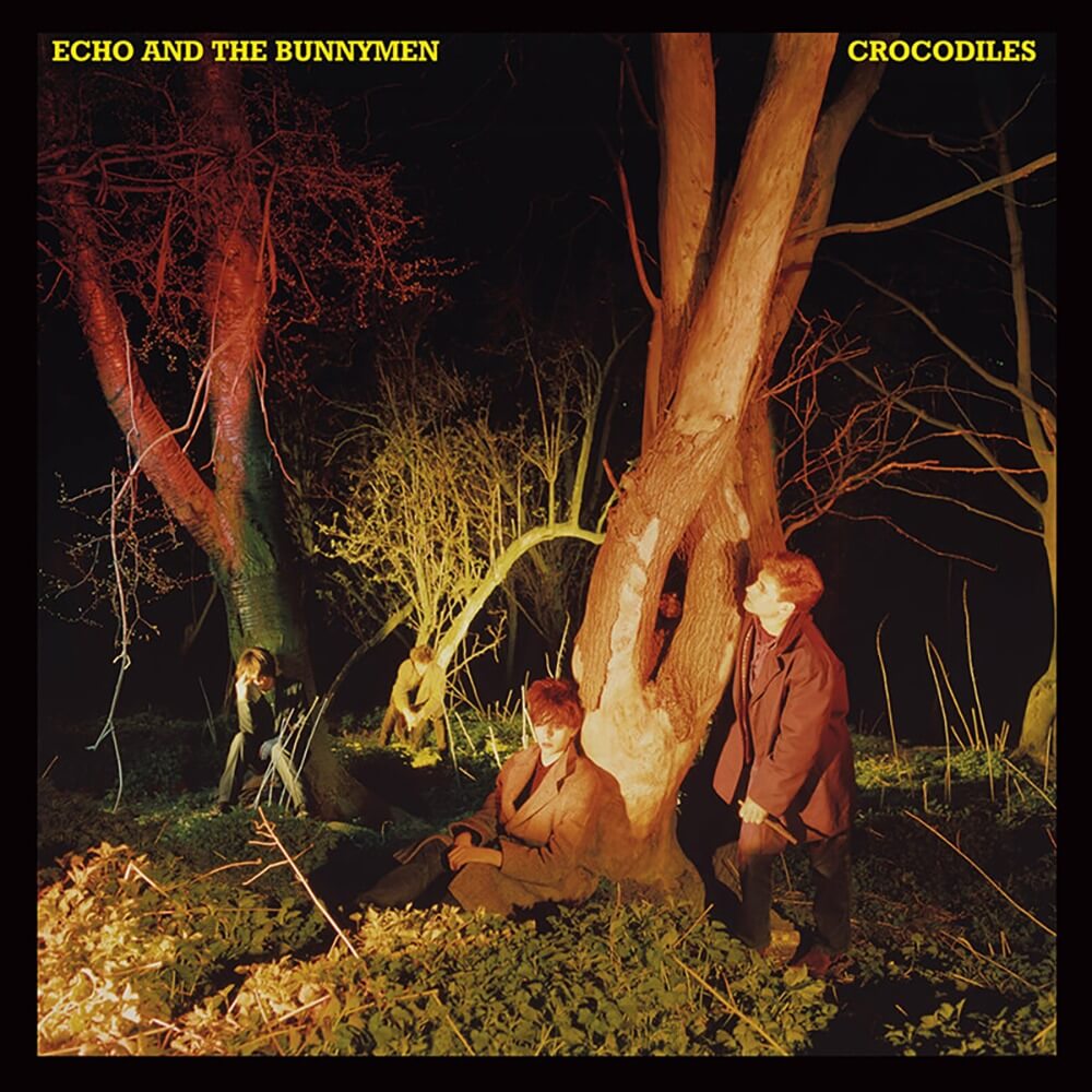 Echo & The Bunnymen / Crocodiles