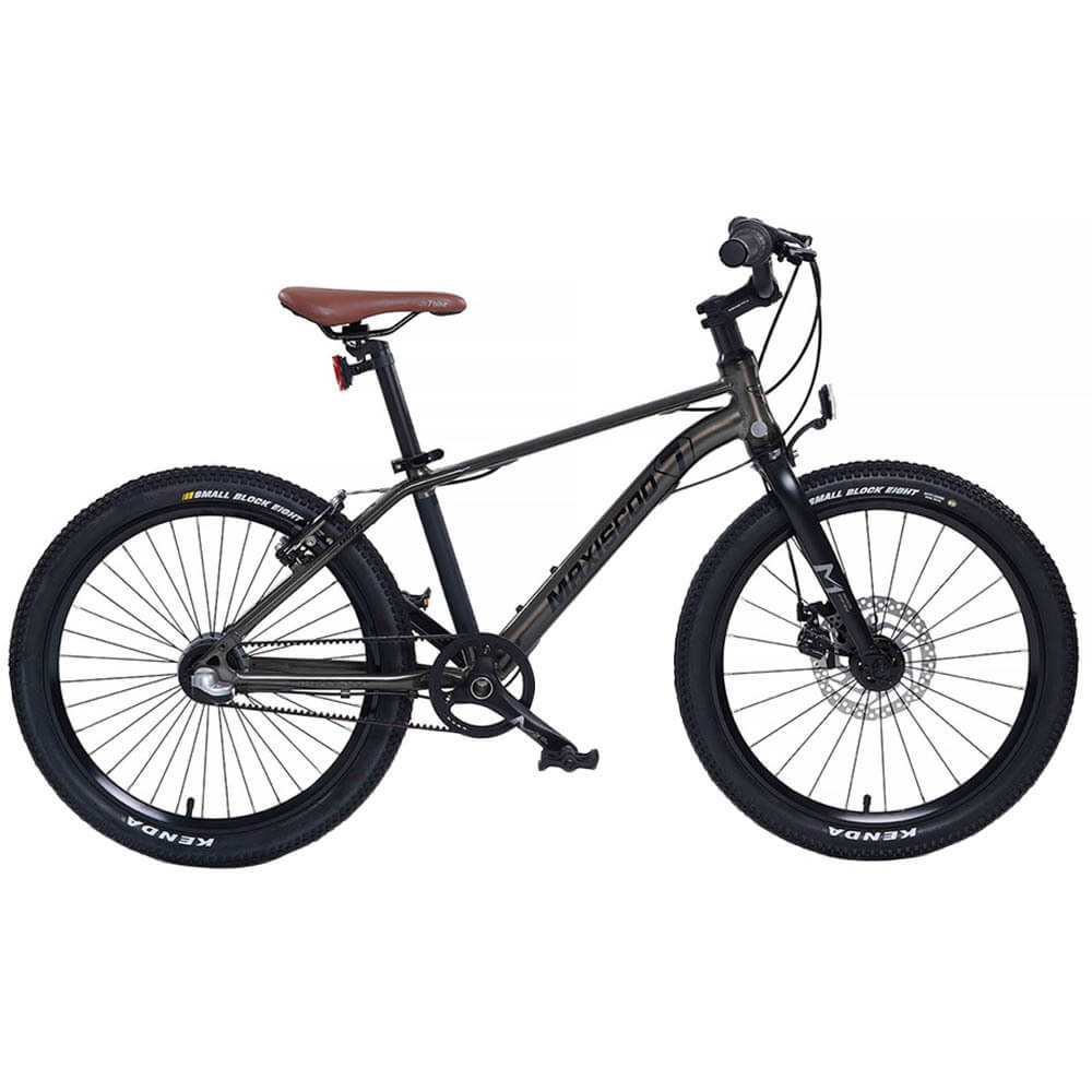 Велосипед Maxiscoo 7BIKE 20 M700 графит 7800000₽