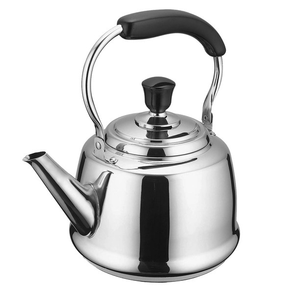 Чайник для плиты Beka Claudette 12028454, цвет серебристый - фото 1