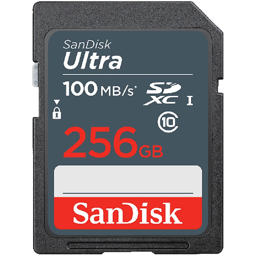 Карта памяти SanDisk SDXC 256GB UHS-I (SDSDUNR-256G-GN3IN)