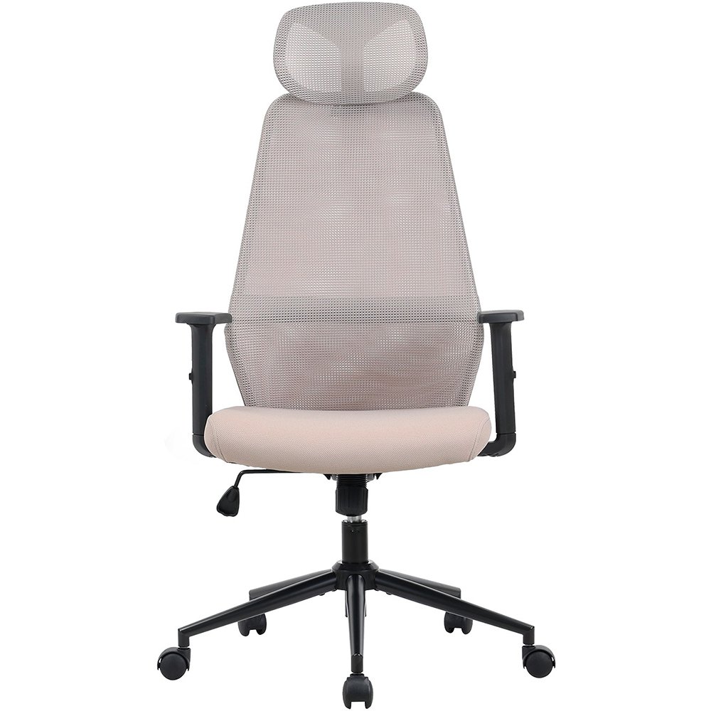 Компьютерное кресло ZONE 51 VECTIS ONE Light Beige (Z51FVCOLB)