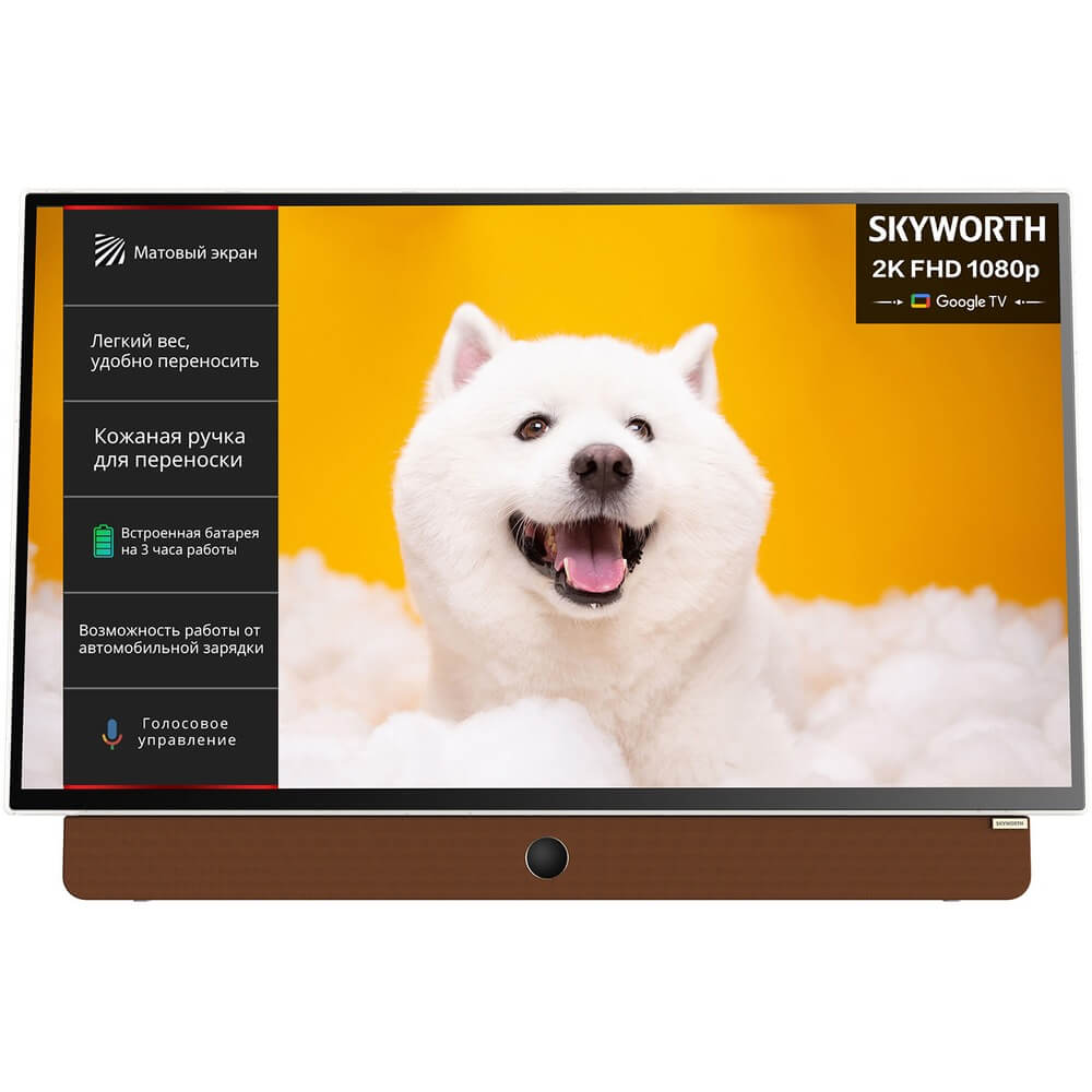 Телевизор Skyworth 24LP60G