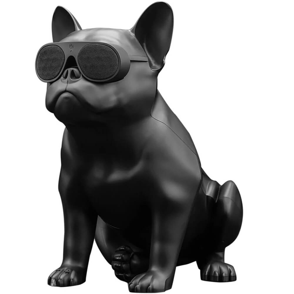 Портативная акустика Jarre AeroBull XS1 матовая черная 119990₽