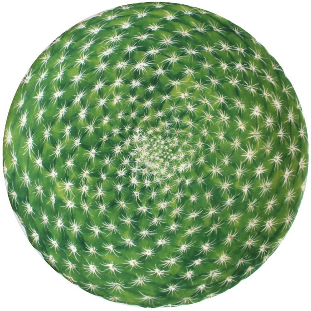 Тарелка Taitu Cactus 5-5-1