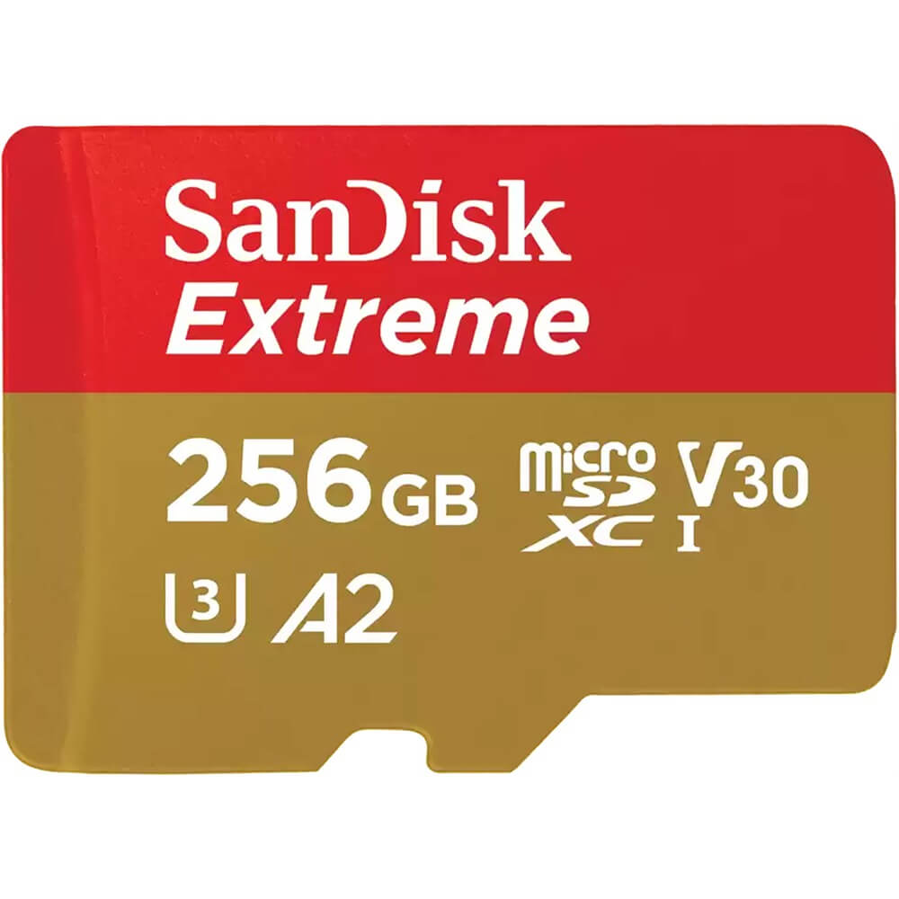 Карта памяти SanDisk MicroSDXC 256GB (SDSQXAV-256G-GN6MN) MicroSDXC 256GB (SDSQXAV-256G-GN6MN) - фото 1