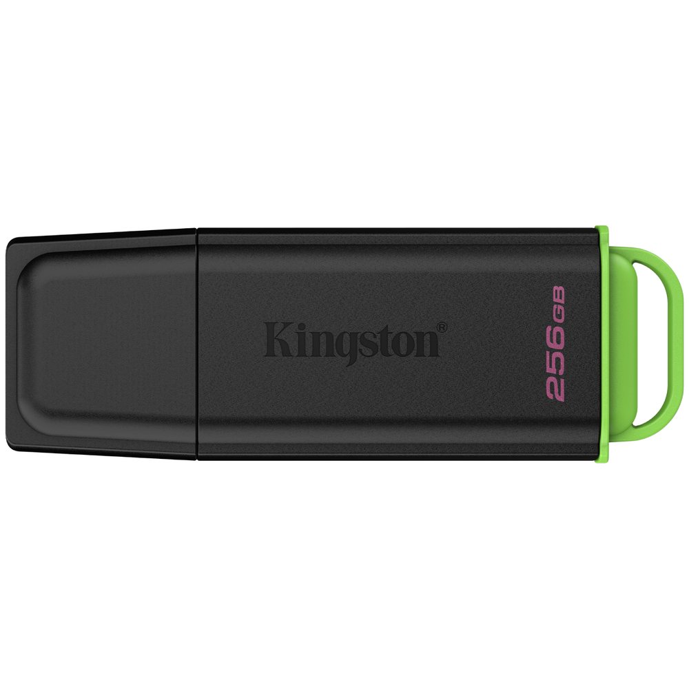 USB Flash drive Kingston DataTraveler Exodia G2 256 ГБ чёрно-зелёный (DTXG2/256GB)