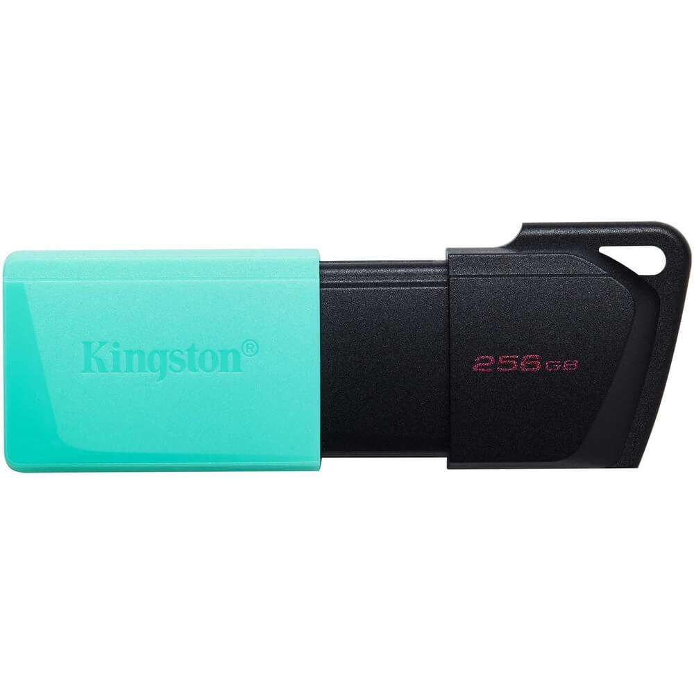 USB Flash drive USB Flash drive Kingston 256 ГБ (DTXM)
