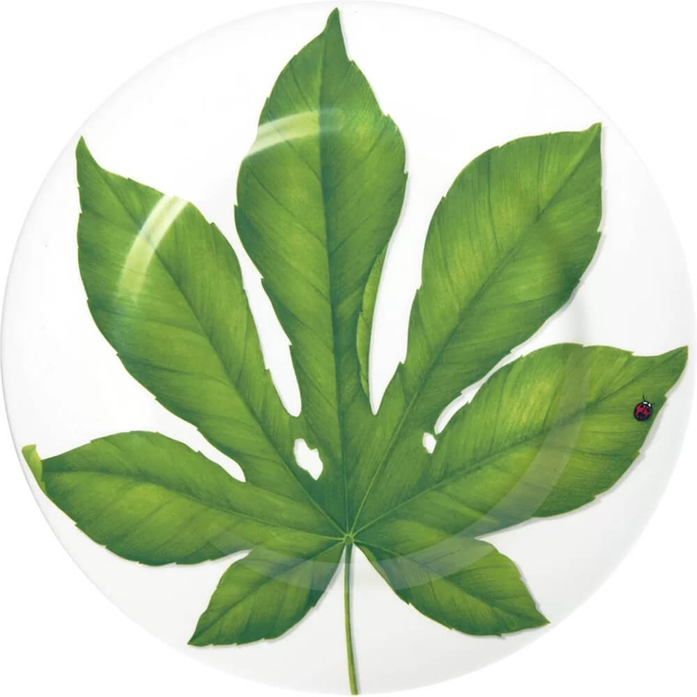 Сервировочное блюдо Taitu Freedom Leaf 1-86-B