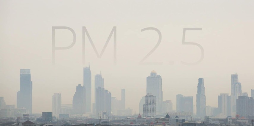 Pm 2.5. PM2.5 города. PM 2.5 серый. PM 2.5 В городах России.