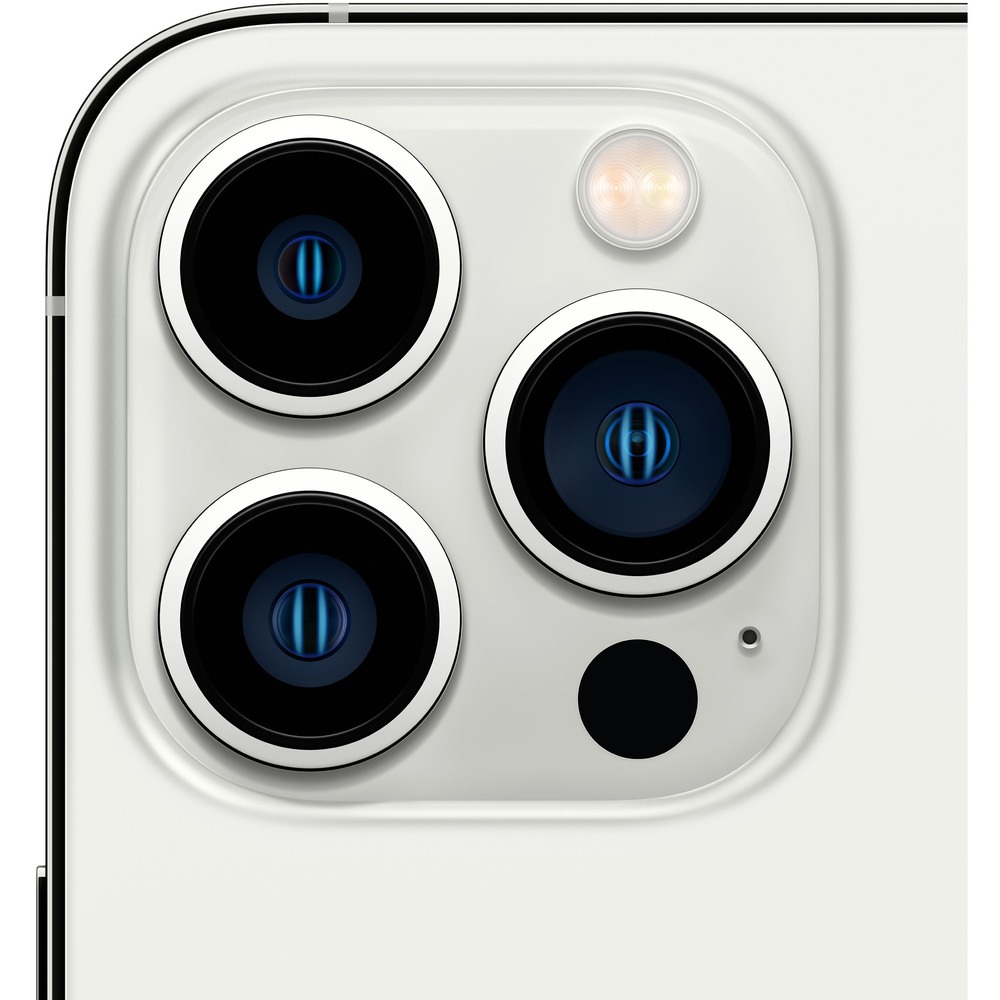Купить Смартфон Apple iPhone 13 Pro Max 256 ГБ серебристый в Москве