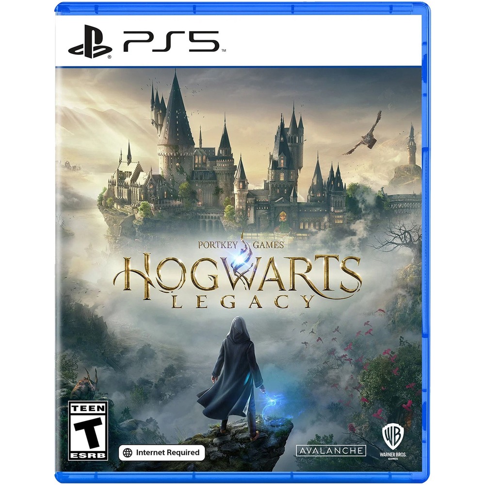 Купить Hogwarts Legacy PS5, русские субтитры в Москве