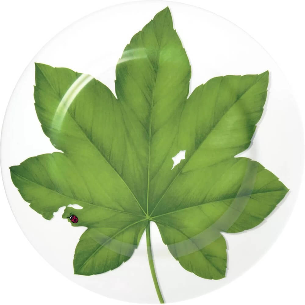 Изображение товара Сервировочное блюдо Taitu Freedom Leaf 1-86-A