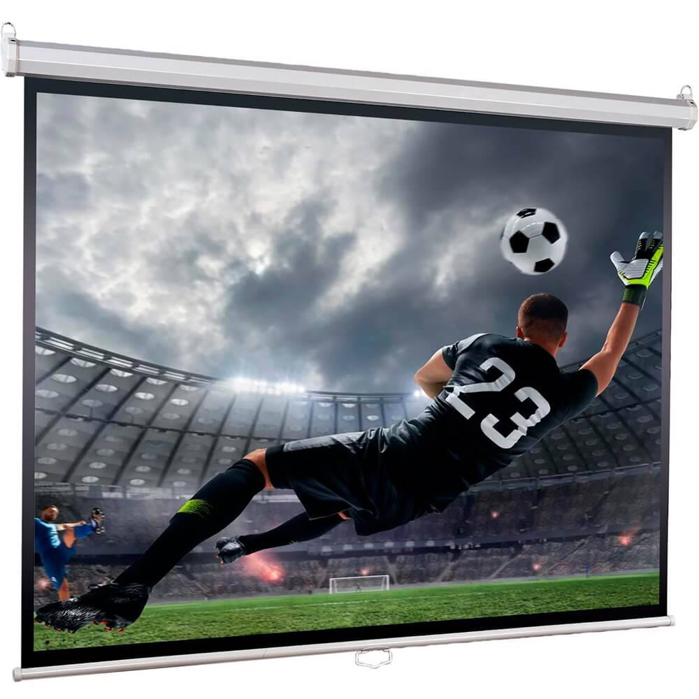 Изображение товара Экран для проекторов Lumien Eco Picture LEP-100119