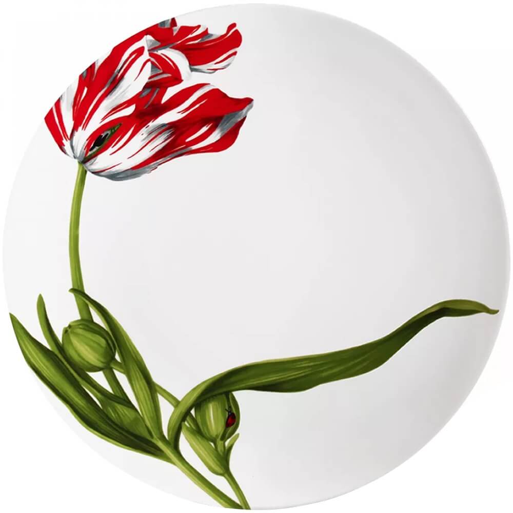 Изображение товара Тарелка Taitu Emotion 5-8-0