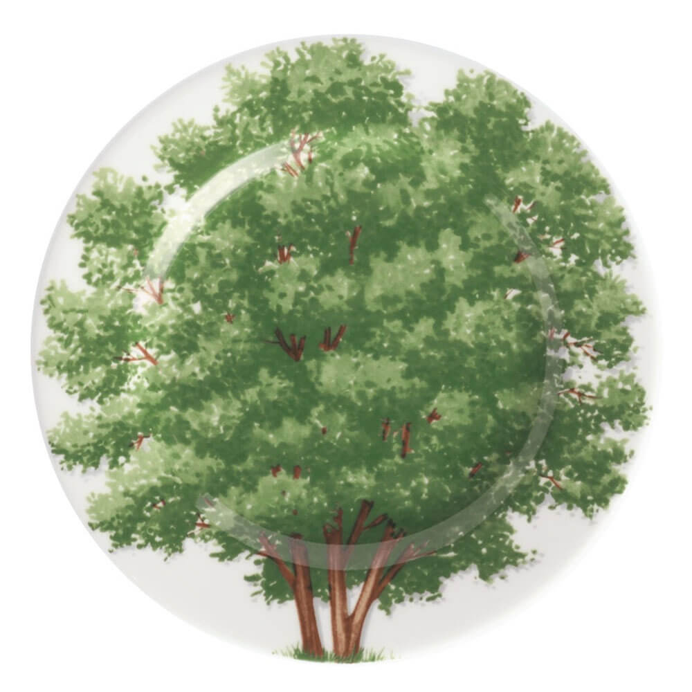 Изображение товара Тарелка Taitu Freedom Wood 1-83-C Изображение товара Тарелка Taitu Freedom Wood 1-83-C