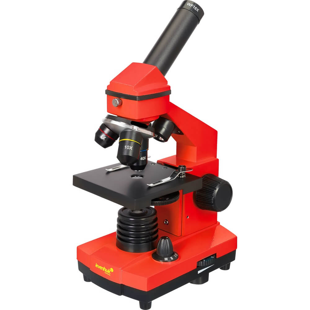 Изображение товара Микроскоп Levenhuk Rainbow 2L PLUS учебный оптический микроскоп