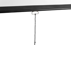 Изображение товара Экран для проекторов Digis DSOD-16905