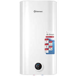 Thermex MS 50 V (pro) Thermex MS 50 V (pro)