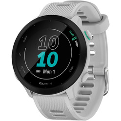 Изображение товара Смарт-часы Garmin Forerunner 55, Whitestone (010-02562-11)