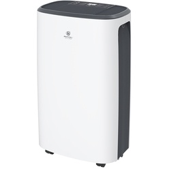 Изображение товара Осушитель ROYAL Clima RD-CR20-E Carisma Loft 