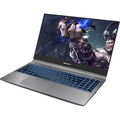 Купить Ноутбук Maibenben X558 (X558FSFCLGRE0) в Москве