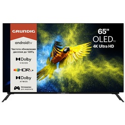 Grundig 55 Oled Gg 970b Купить