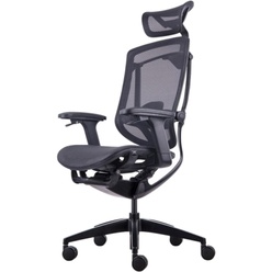 Изображение товара  Компьютерное кресло GT Chair InFlex X (GTC-InFlex-X-BK) чёрный