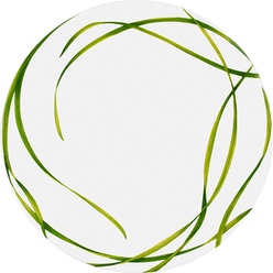 Изображение товара Тарелка Taitu Life in Green 12-13-0