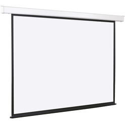 Купить Экран для проекторов Lumien Master Large Control LMLC-100107 в ...
