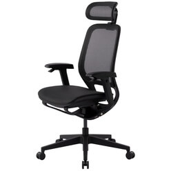 Изображение товара  Компьютерное кресло GT Chair NEOSEAT X чёрный