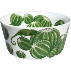Изображение товара Салатник Taitu Cactus 5-5-50