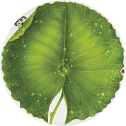 Изображение товара Сервировочное блюдо Taitu Freedom 1-899