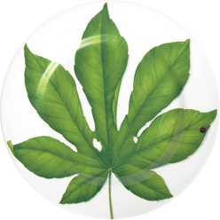 Изображение товара Сервировочное блюдо Taitu Freedom Leaf 1-86-B