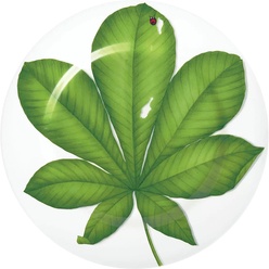 Изображение товара Сервировочное блюдо Taitu Freedom Leaf 1-86-D