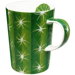 Изображение товара Кружка Taitu Cactus 5-5-4