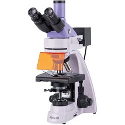 Изображение товара Микроскоп MAGUS Lum 400L