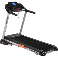 Изображение товара Беговая дорожка DFC Sparky Pro T635