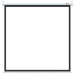 Изображение товара Экран для проекторов Lumien Eco Picture LEP-100109