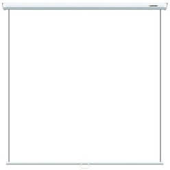 Изображение товара Экран для проекторов Lumien Eco Picture LEP-100102
