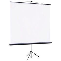 Изображение товара Экран для проекторов Lumien Eco View LEV-100101