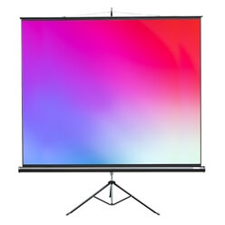 Изображение товара Экран для проекторов Lumien Master View LMV-100108