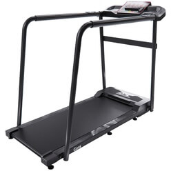 Изображение товара Беговая дорожка DFC Cora T165