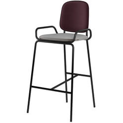 Изображение товара Стул Bergenson Bjorn Ror 2 Frame RORBCH2FRBKVLRDPRPLWGR