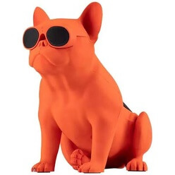 Изображение товара Портативная акустика Jarre AeroBull XS1, оранжевый
