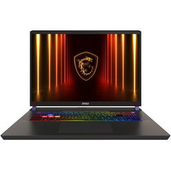 Изображение товара Ноутбук MSI Vector 17 HX AI A2XWJG-099XRU (9S7-17S372-099)