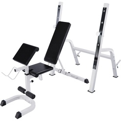 Изображение товара Скамья тренировочная DFC Gorilla 201321W