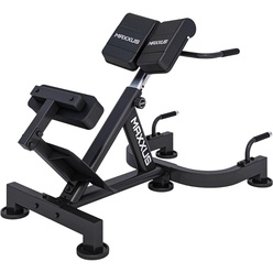 Изображение товара Гиперэкстензия DFC Maxxus GSMX-600080-00019-0001